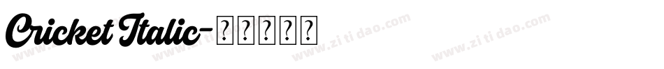 Cricket Italic字体转换